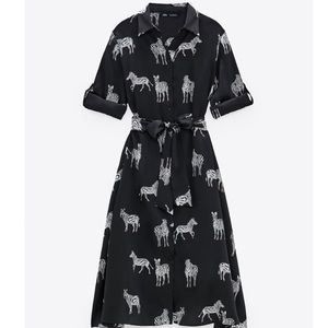 Zara Shirt Dress - has pockets and belt (satin material) very cute.